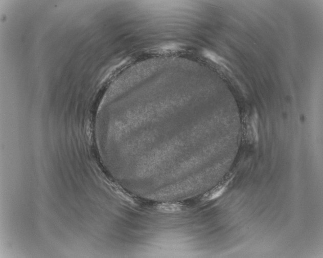 X0000069830762200606091445