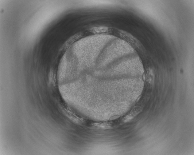 X0000069830763200606091446