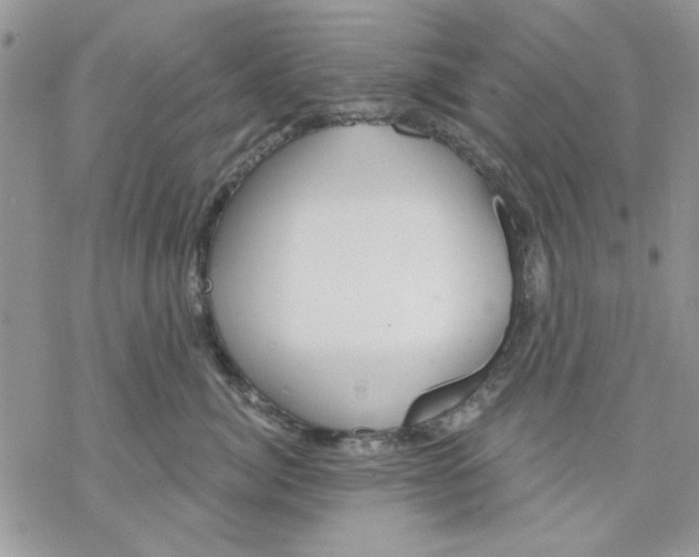 X0000069830764200606091446