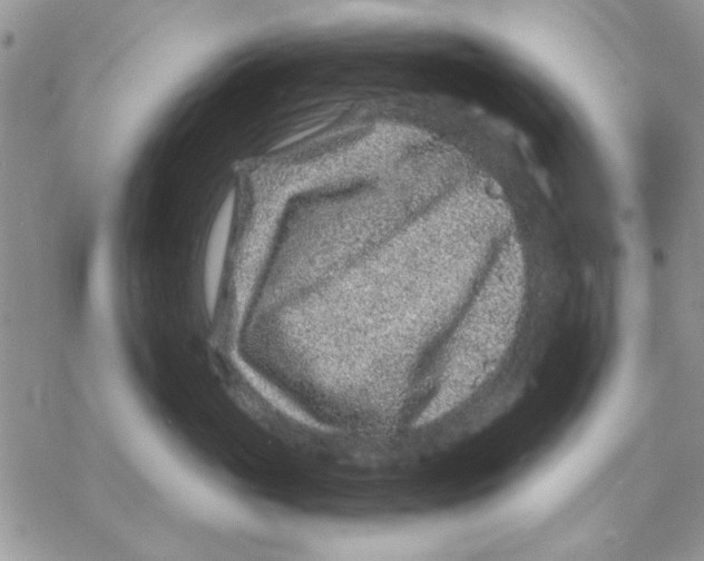 X0000069830765200606091446