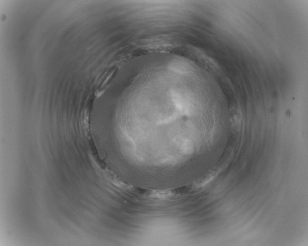 X0000069830767200606091446