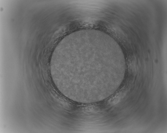 X0000069830769200606091445