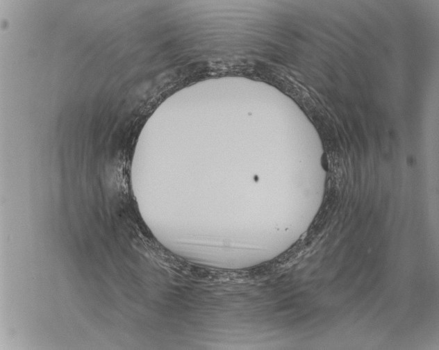 X0000069830770200606091445