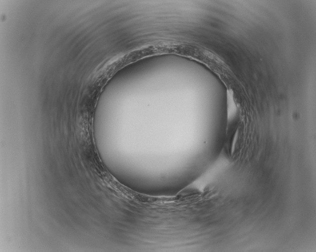 X0000069830773200606091445