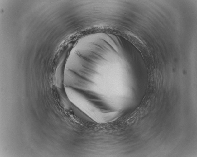 X0000069830776200606091445