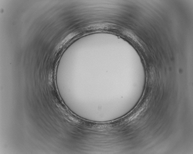 X0000069830778200606091445