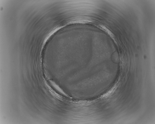 X0000069830779200606091445