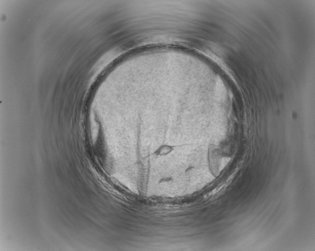 X0000069830783200606091445