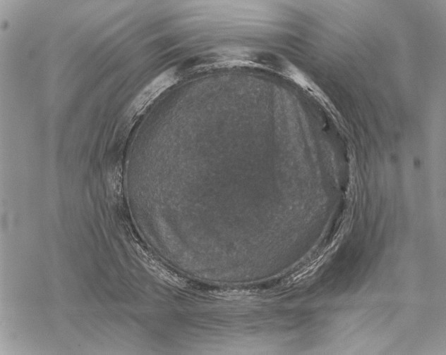 X0000069830785200606091445