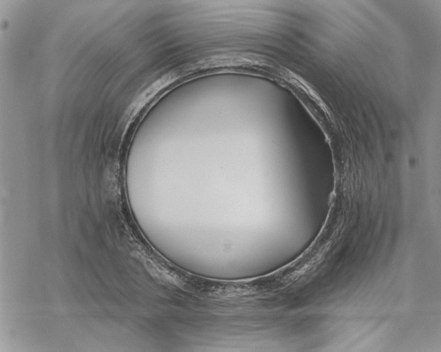 X0000069830786200606091445