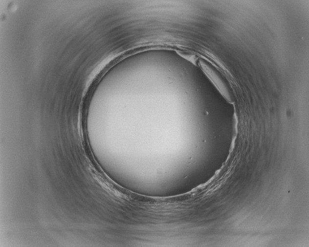 X0000069830788200606091444