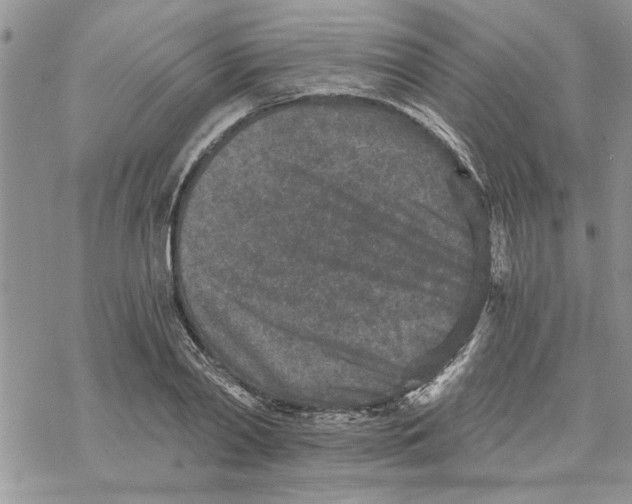 X0000069830790200606091444