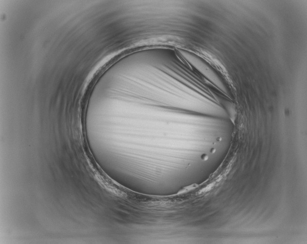 X0000069830792200606091444