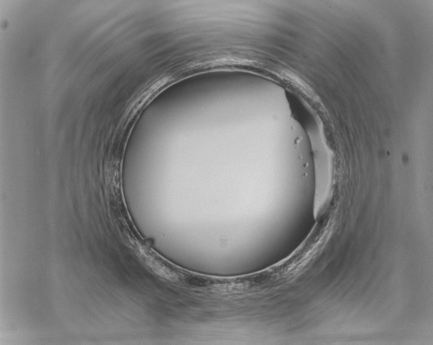 X0000069830793200606091444