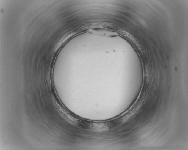 X0000069830794200606091444