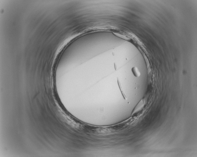 X0000069830795200606091444