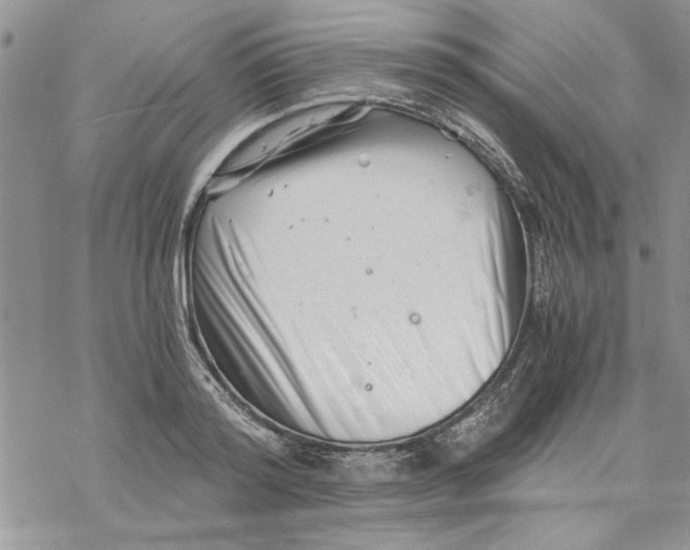 X0000069830796200606091444