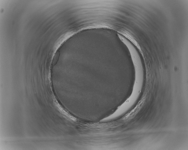 X0000069830797200606091444