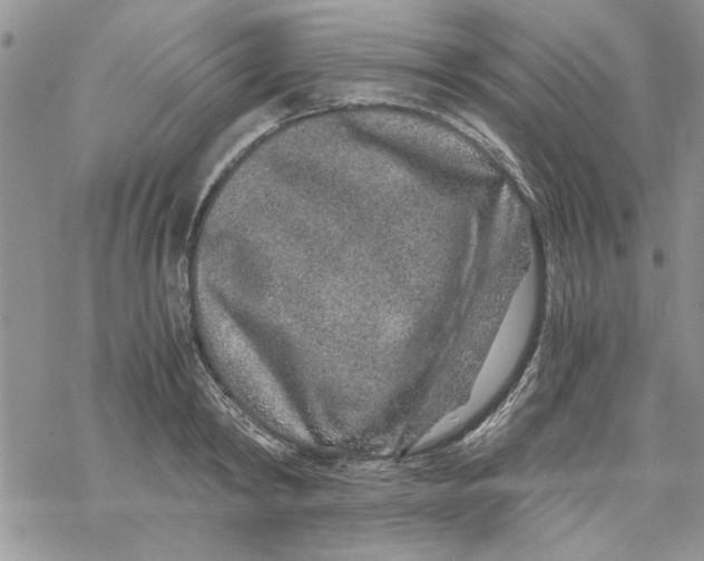 X0000069830798200606091444