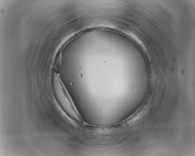 X0000069830799200606091444