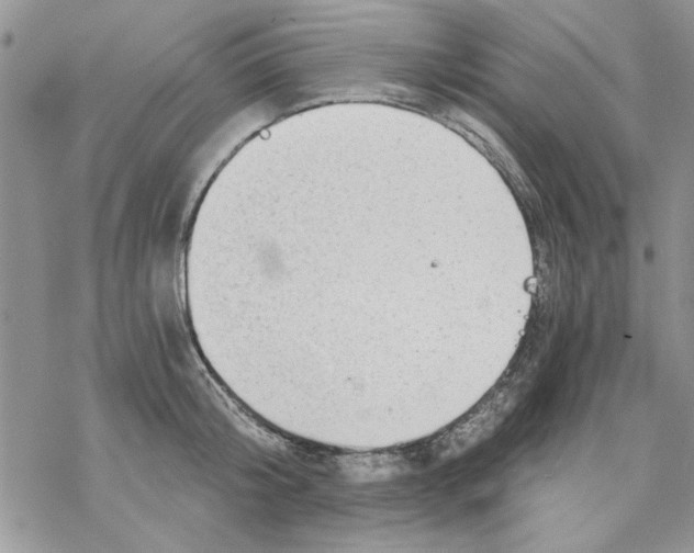 X0000069830804200606091444