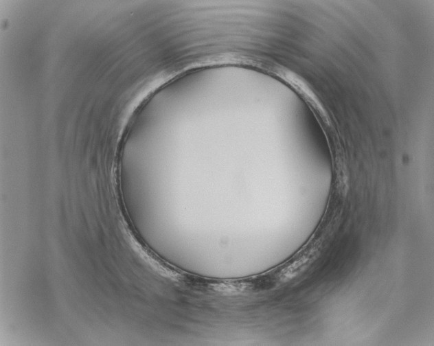 X0000069830805200606091444