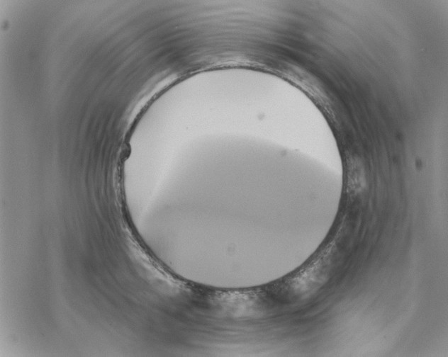 X0000069830806200606091444