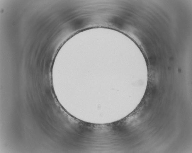 X0000069830807200606091444