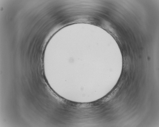 X0000069830808200606091444