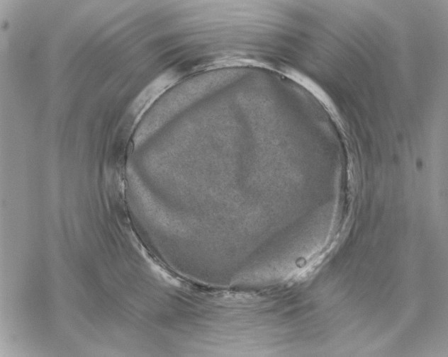 X0000069830809200606091444