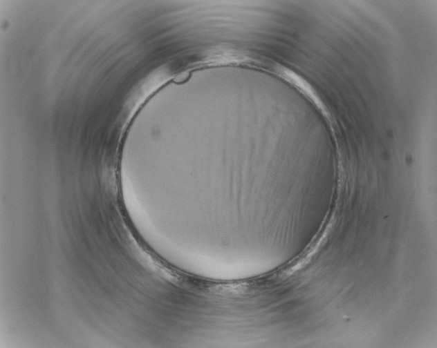 X0000069830810200606091444