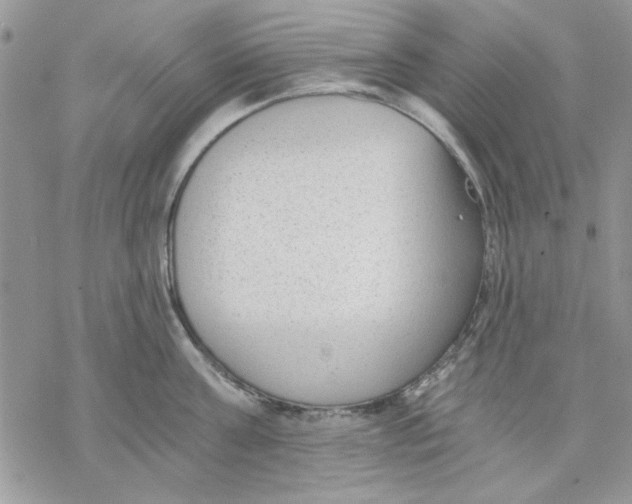 X0000069830811200606091444