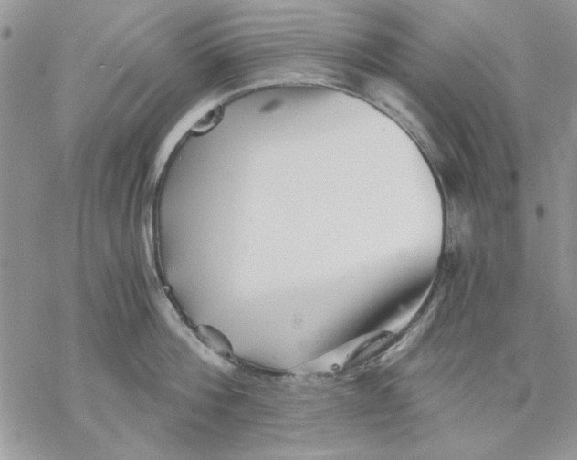 X0000069830812200606091444