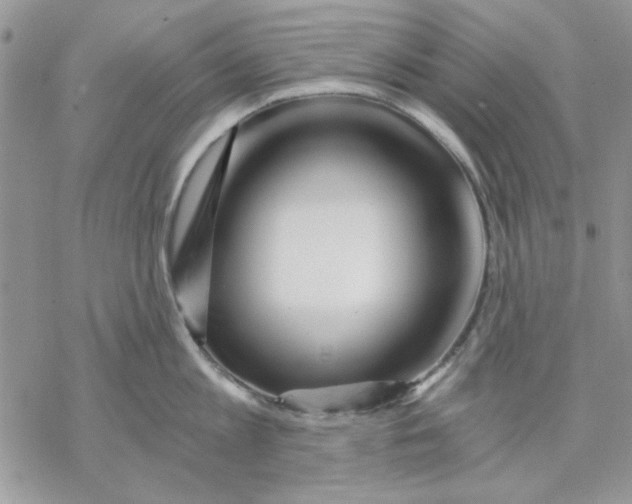 X0000069830813200606091444