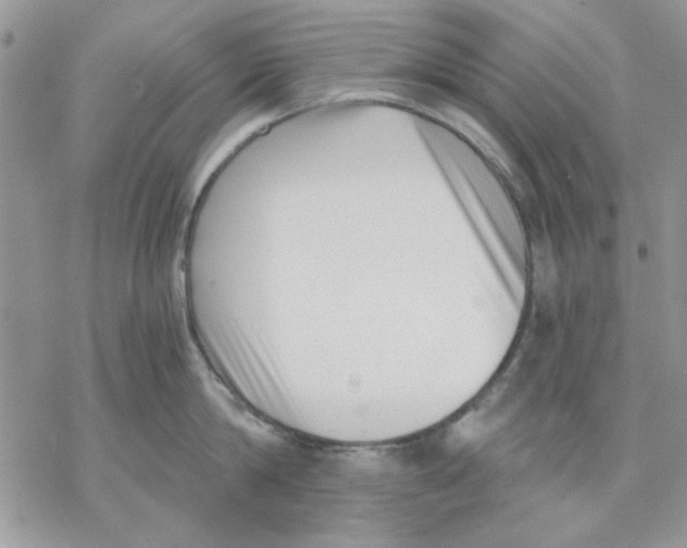 X0000069830814200606091444