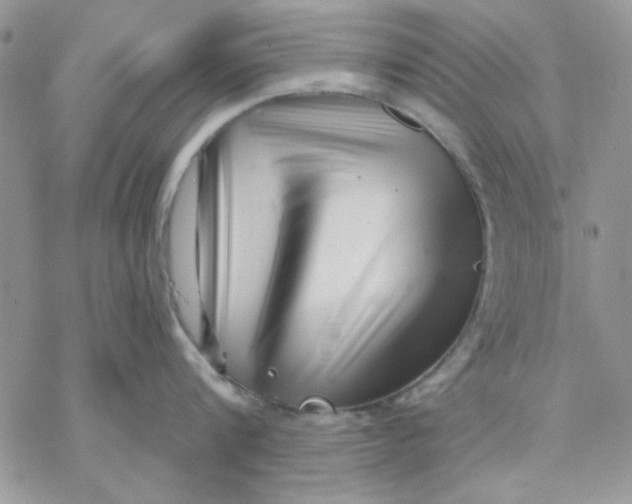 X0000069830816200606091444