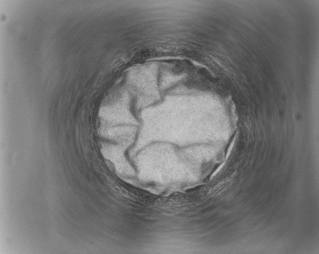 X0000069830817200606091443