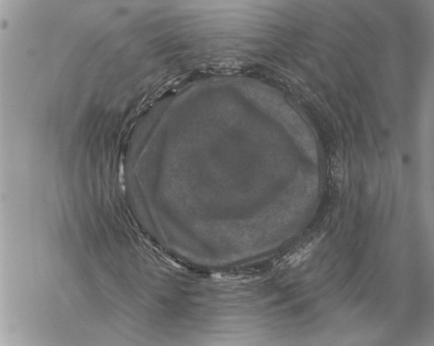 X0000069830818200606091443