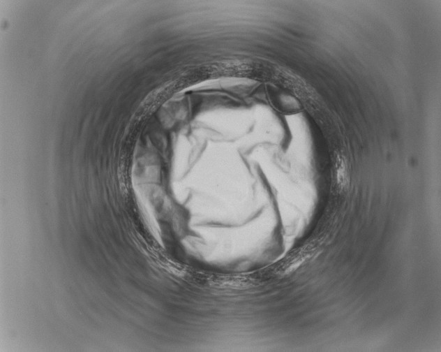 X0000069830819200606091443