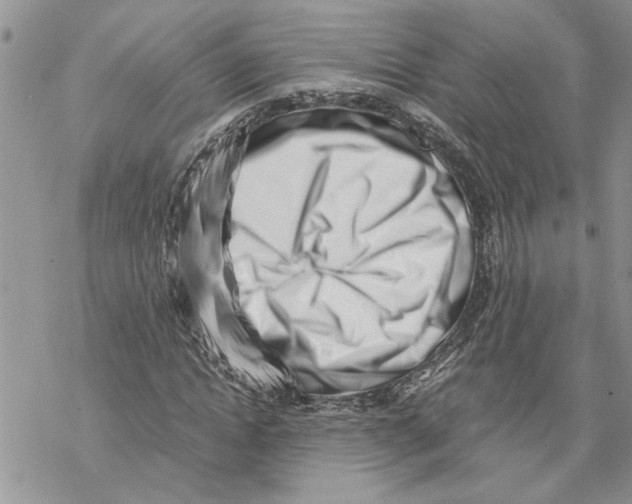 X0000069830822200606091443