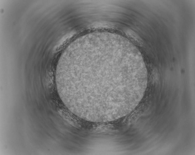 X0000069830824200606091443