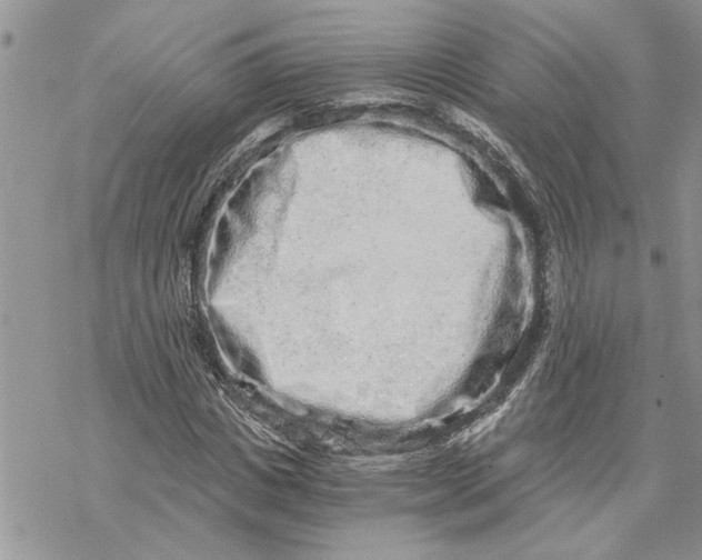 X0000069830825200606091443