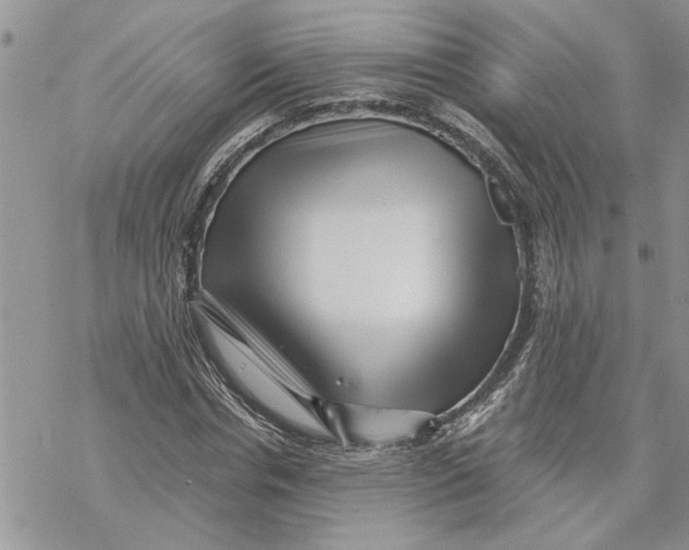 X0000069830826200606091443