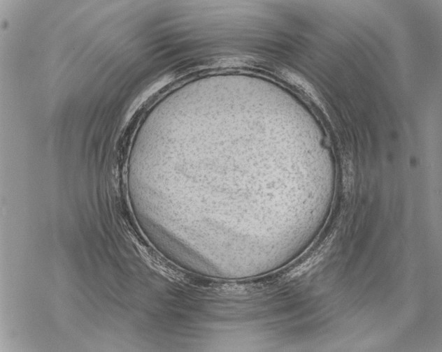 X0000069830827200606091443