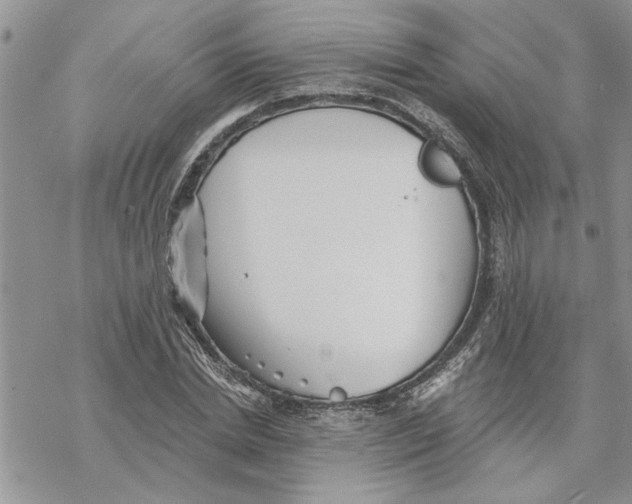 X0000069830830200606091443