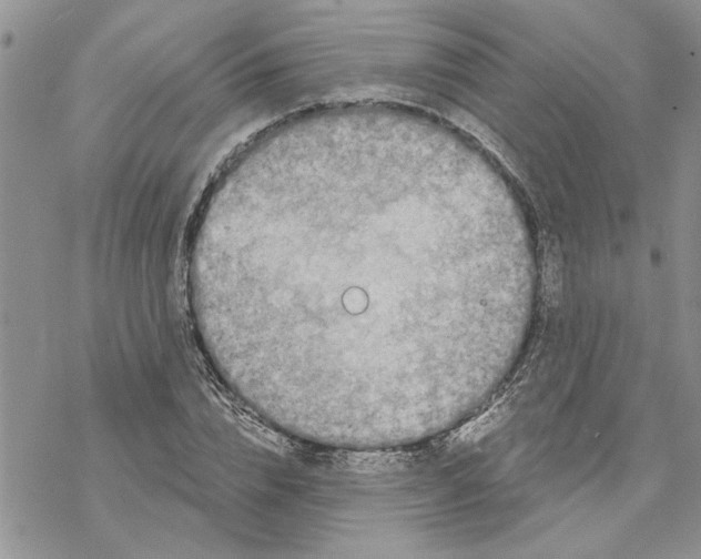 X0000069830832200606091444