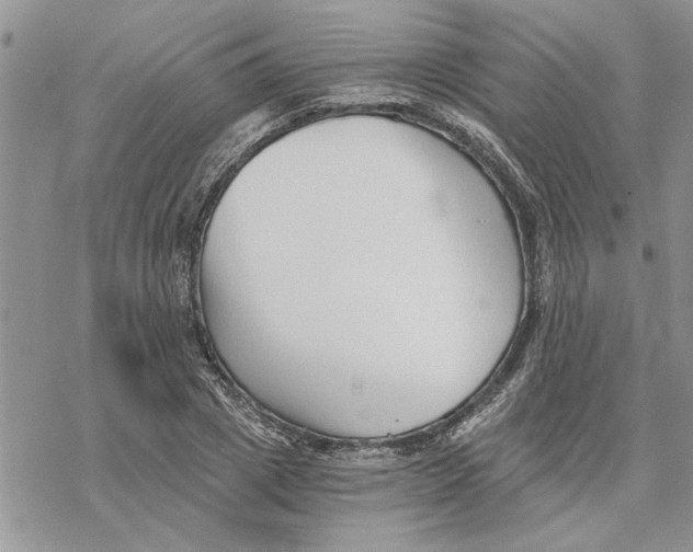 X0000069830833200606091444