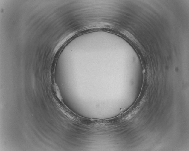 X0000069830834200606091444