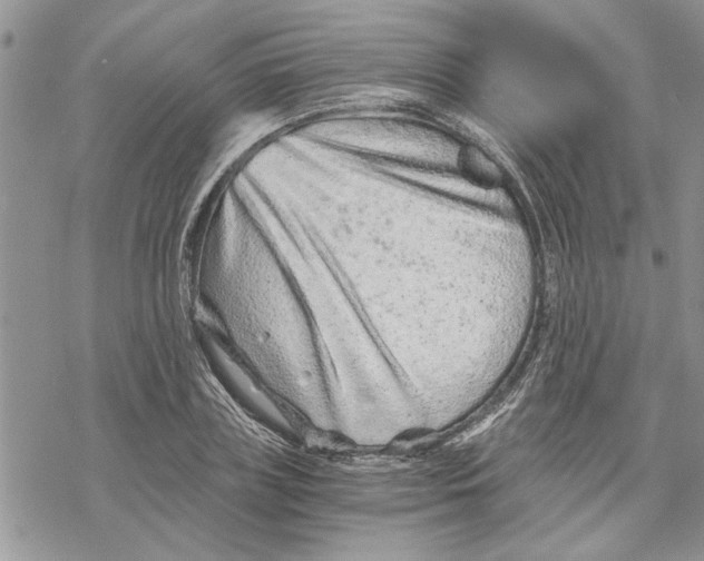 X0000069830835200606091444