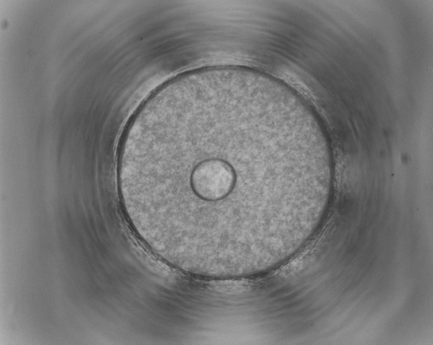 X0000069830836200606091444